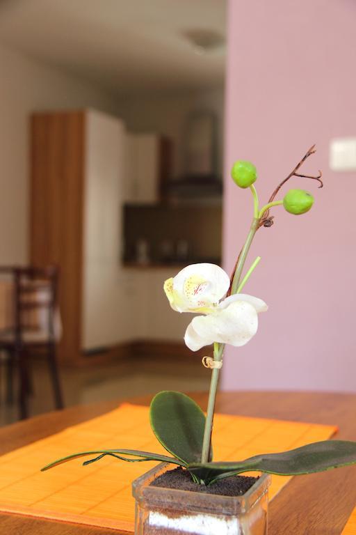 Vila Dravce Habitación foto